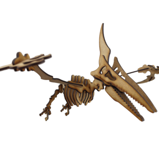 Pterodactilo Dinosaurio