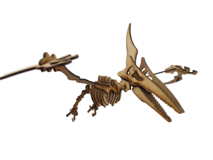 Pterodactilo Dinosaurio