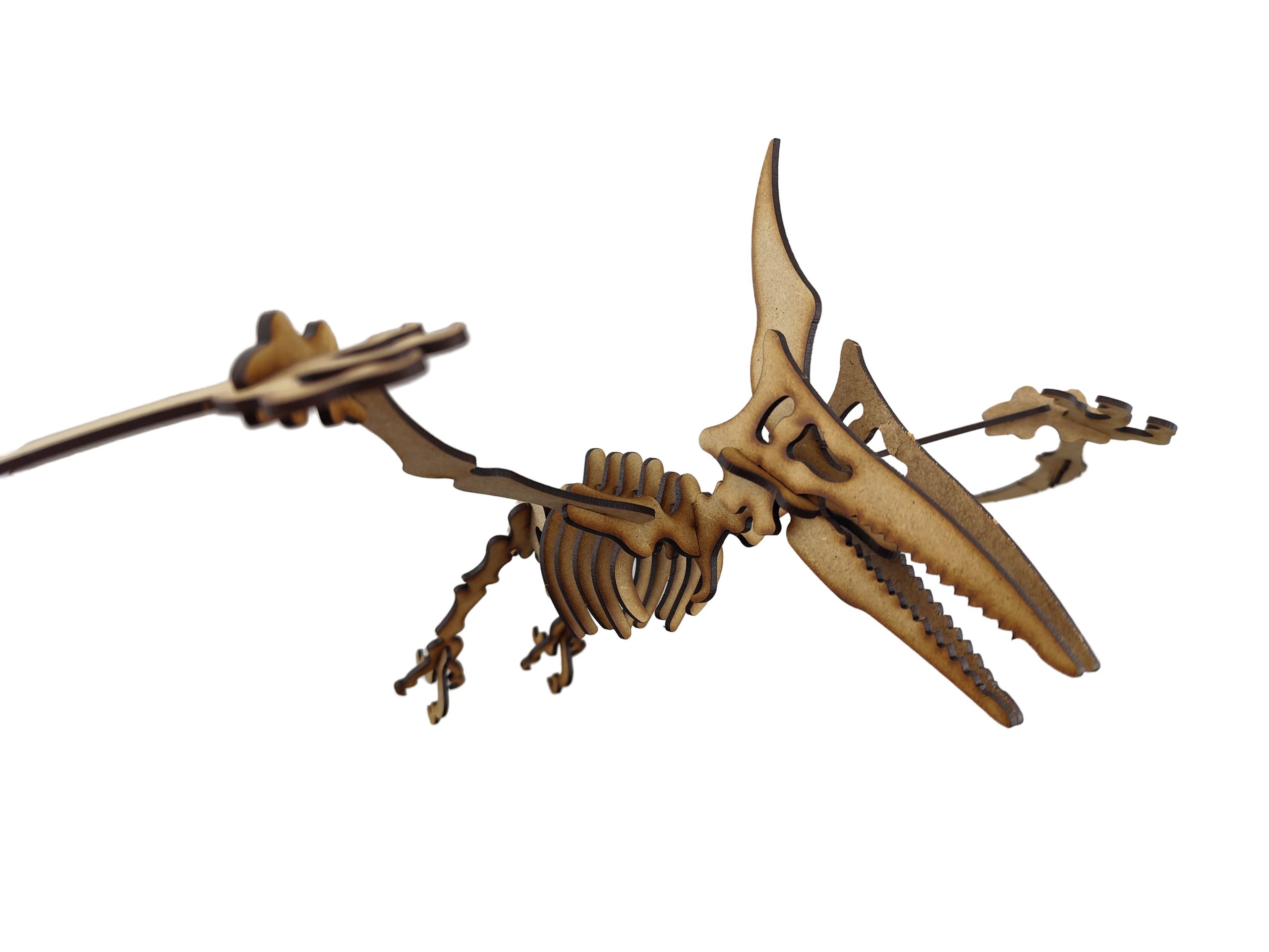 Pterodactilo Dinosaurio