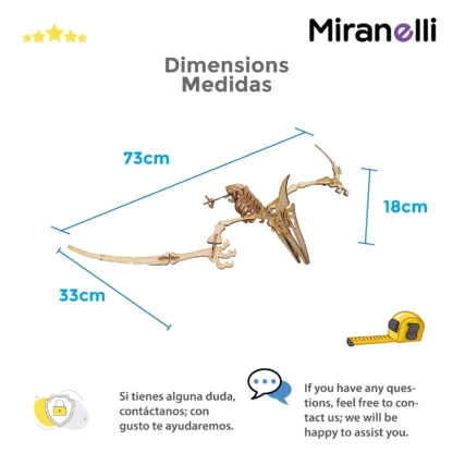 Dimensiones Pterodactilo